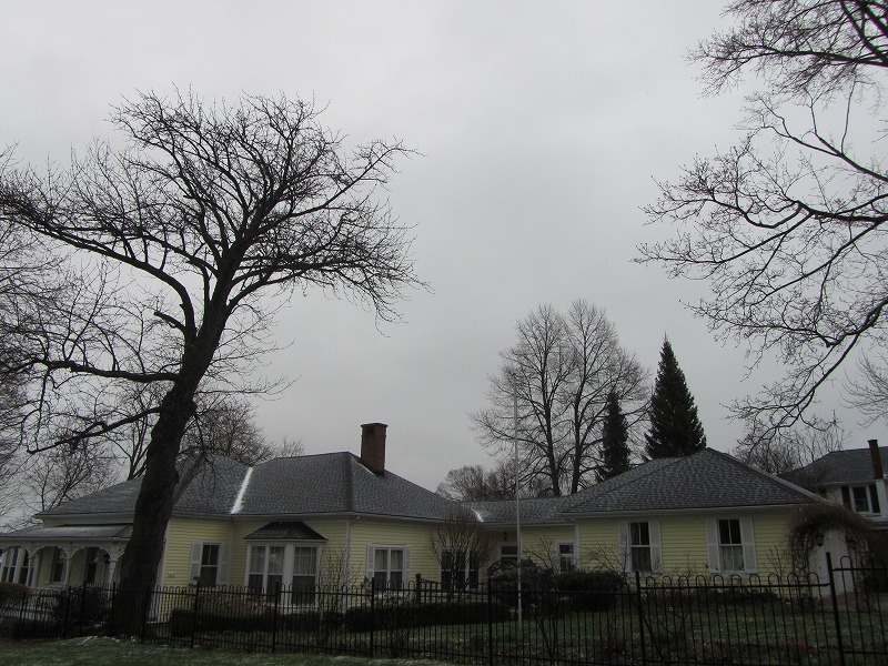 f0054429_23124929.jpg