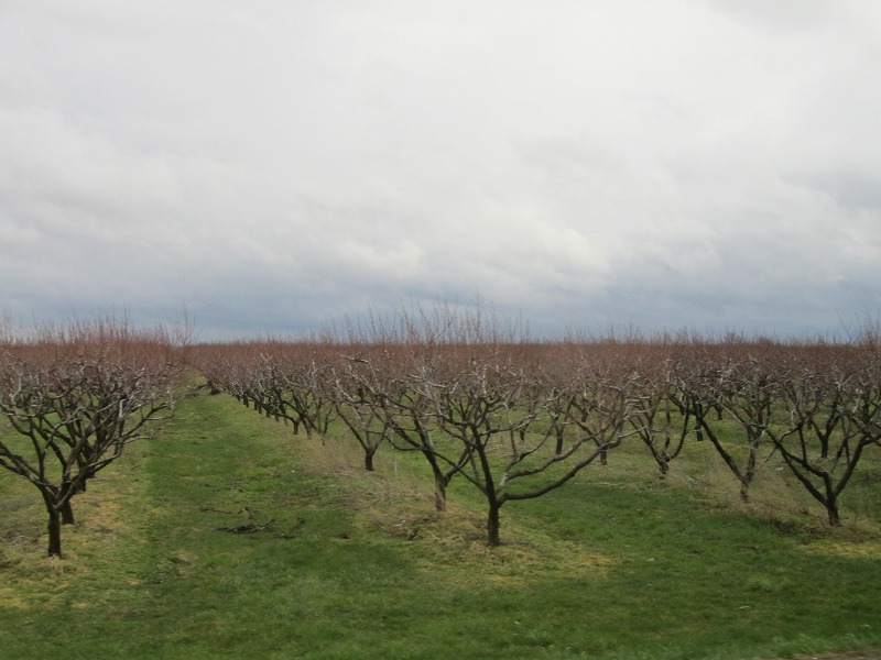f0054429_23145364.jpg