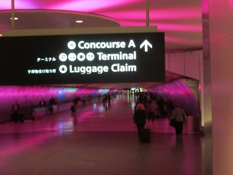 f0054429_23425964.jpg