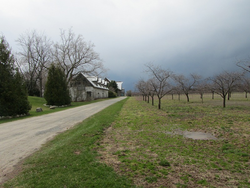f0054429_2365955.jpg