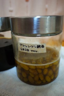 a0214632_2103820.jpg