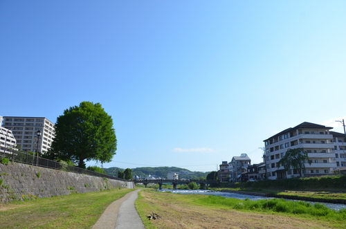 d0156438_1841533.jpg
