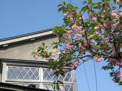 d0101042_13172165.jpg