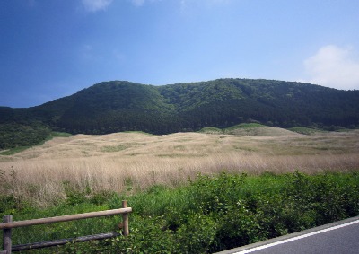a0142343_1353418.jpg