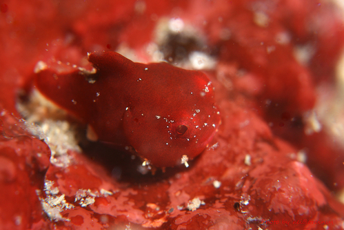 d0181647_205447100.jpg