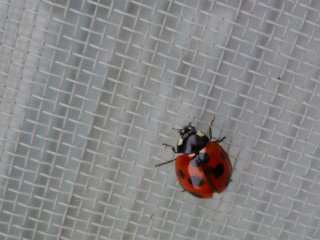 a0008549_2294040.jpg