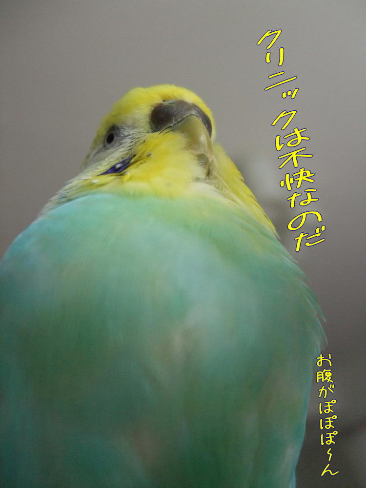 f0149057_22592452.jpg