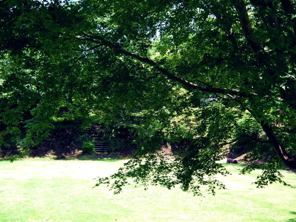 e0064158_23371027.jpg