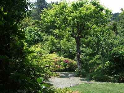 e0176158_21195390.jpg