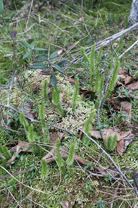 d0221360_1911157.jpg