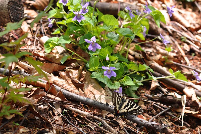 c0043361_23491555.jpg