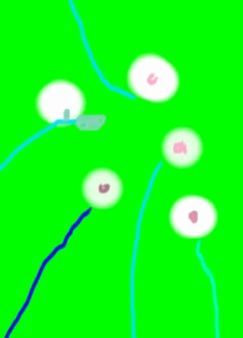 a0134863_19562833.gif