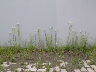 b0122664_01317.jpg