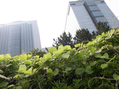 b0122664_084112.jpg