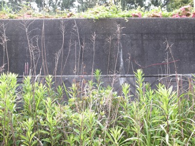 b0122664_08967.jpg