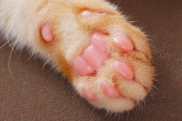 a0201967_2205511.jpg