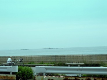 a0057869_2164147.jpg