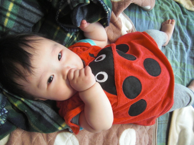 f0200773_8193620.jpg