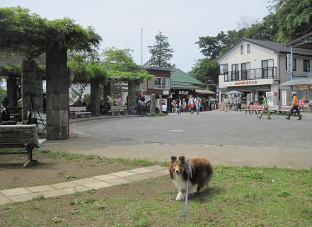 a0157174_20115093.jpg