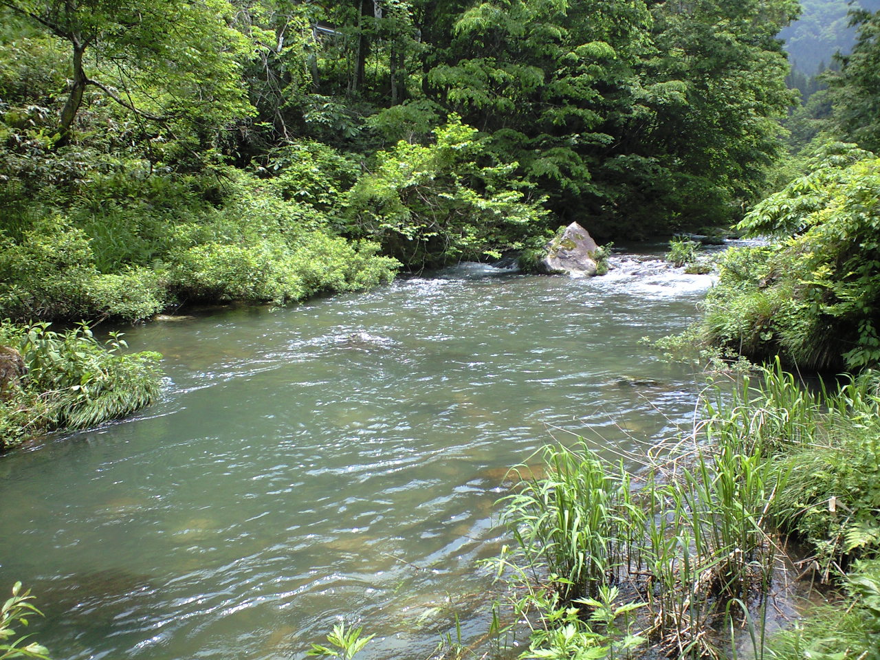 a0093677_19552115.jpg