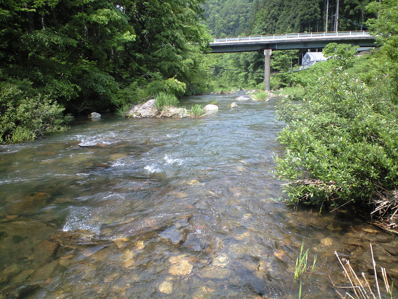 a0093677_2050423.jpg