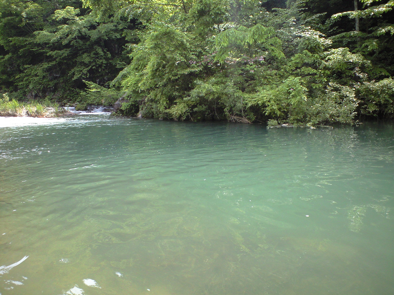 a0093677_2055146.jpg