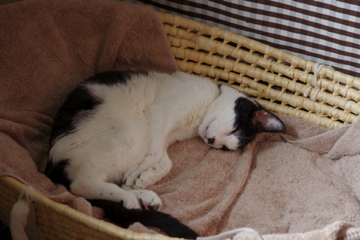 f0054677_844780.jpg