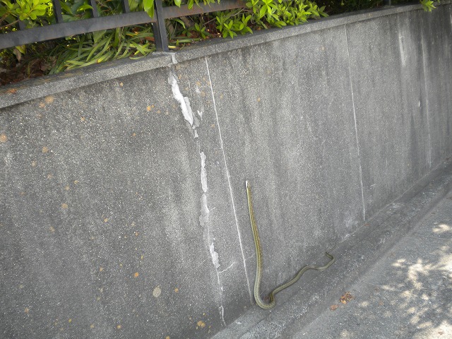 d0143678_8111361.jpg