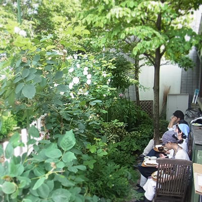 c0187782_048583.jpg