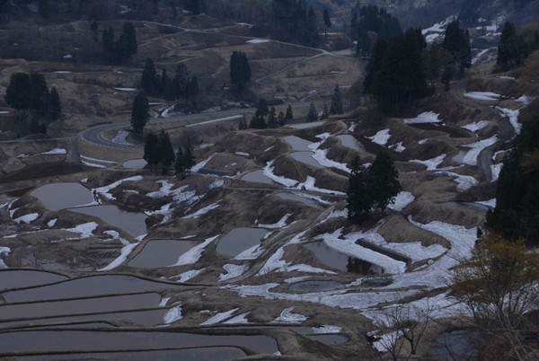 d0074683_1117470.jpg
