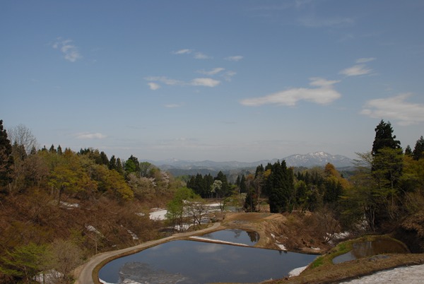 d0074683_122342.jpg