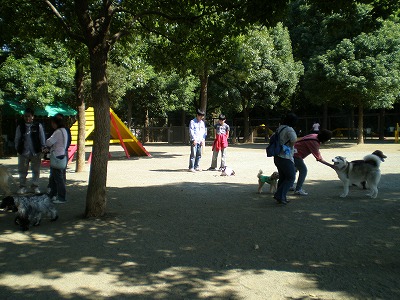 e0123587_20261338.jpg