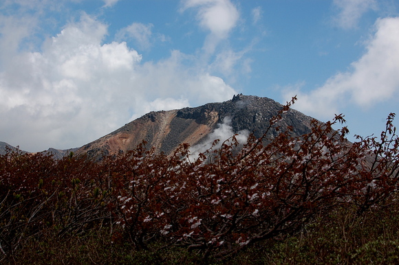 b0203588_1748538.jpg