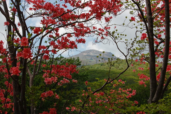 b0203588_17552293.jpg