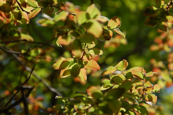 b0203588_1756360.jpg
