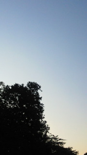 e0175288_543190.jpg