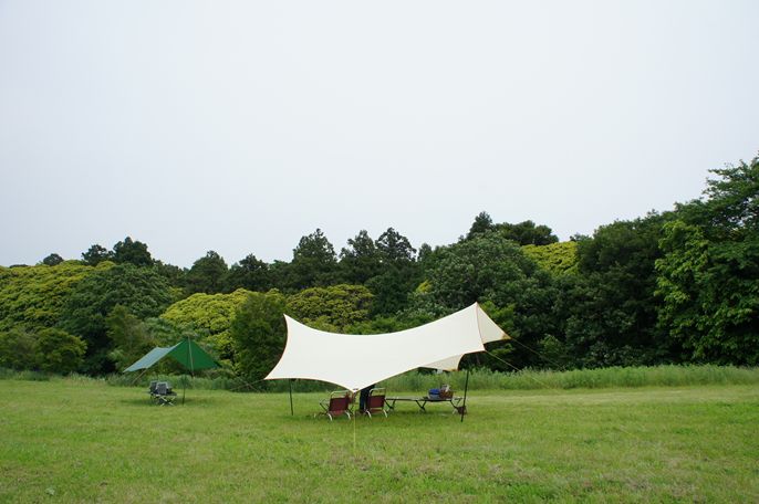 d0165689_22564665.jpg