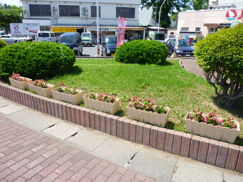 f0230992_1634132.jpg