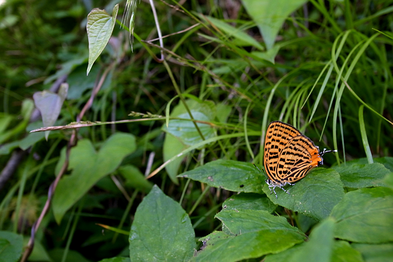 b0194593_23452860.jpg