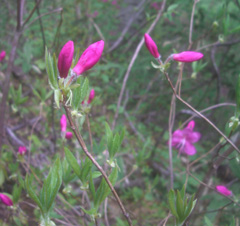b0099994_8542438.jpg