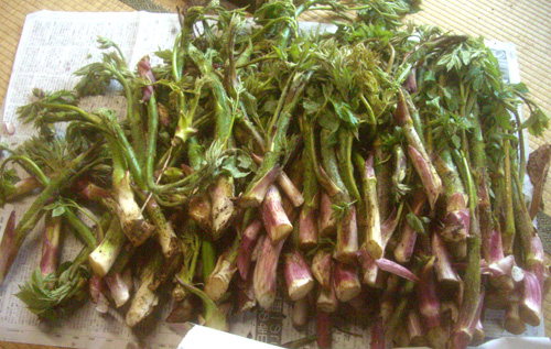 b0099994_8555750.jpg