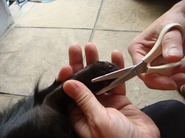 d0098295_015570.jpg