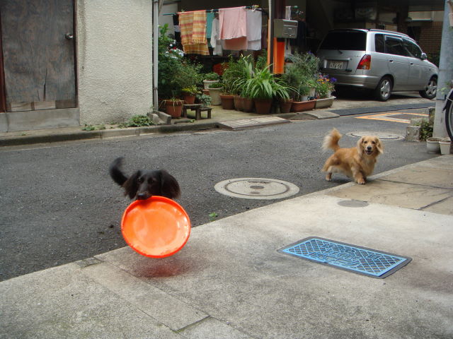 d0098295_0163555.jpg