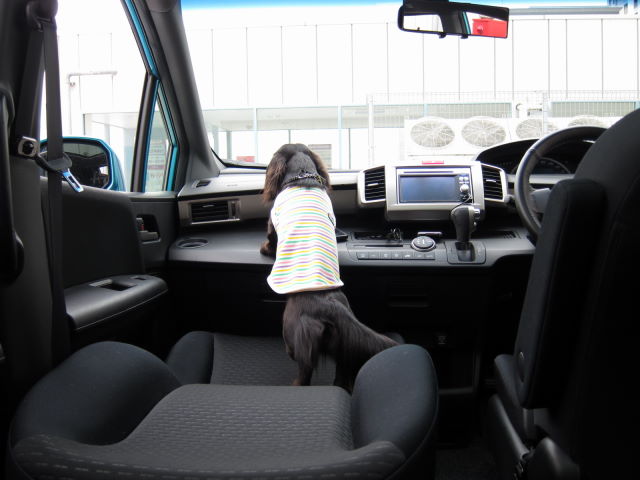 d0098295_0205128.jpg