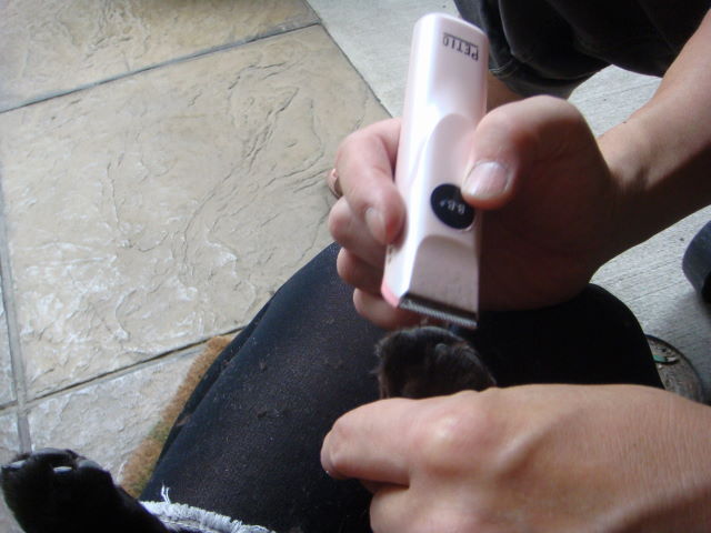 d0098295_031995.jpg
