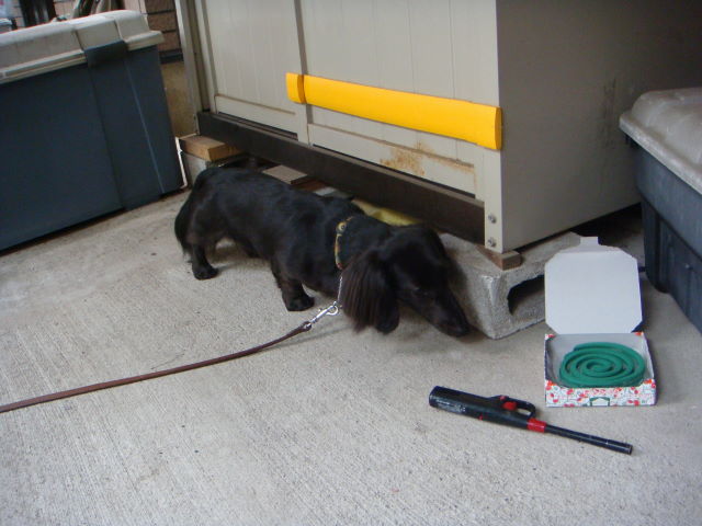 d0098295_07471.jpg