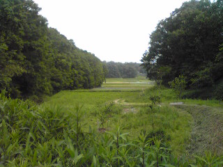 b0212396_21163052.jpg