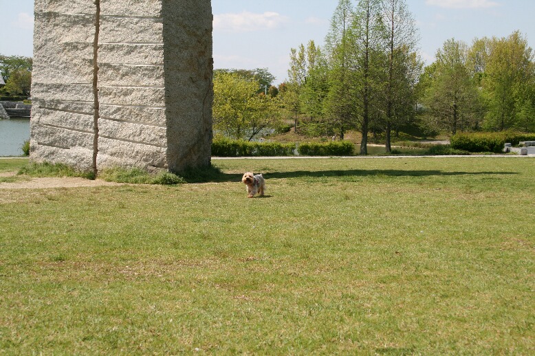 f0158596_22353352.jpg