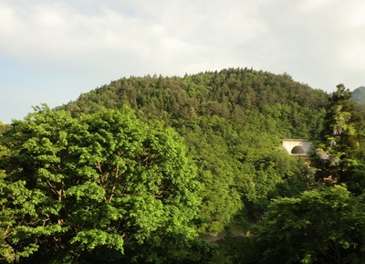 a0138198_11541570.jpg