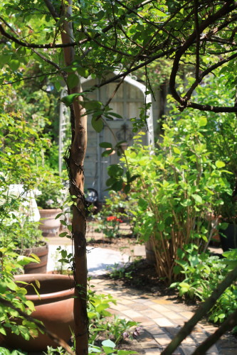 c0190900_2162420.jpg